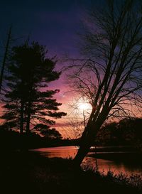 Silhouette trees by lake against sky at sunset