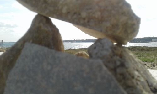 Close-up of horse on beach against sky