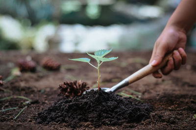 Cropped hand of person watering plant