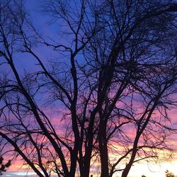 Low angle view of silhouette bare tree against sky