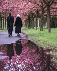 Rear view of people walking in park