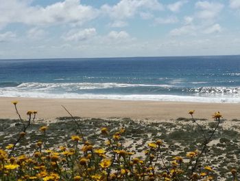 Scenic view of sea against sky