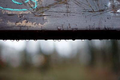 Close-up of water against the sky