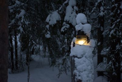 Snow covered lantern at night