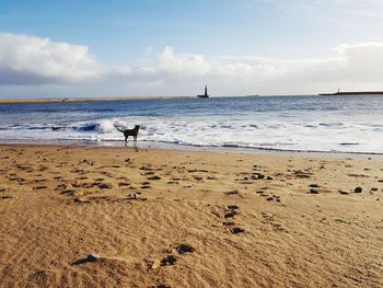 Man on beach against sky