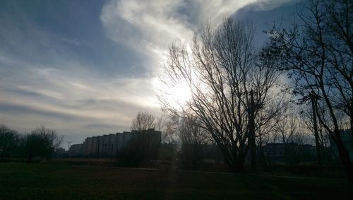 Trees against sky during sunset