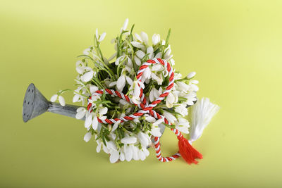 Close-up of fresh flowers on table against yellow background