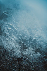 Full frame shot of snow covered land