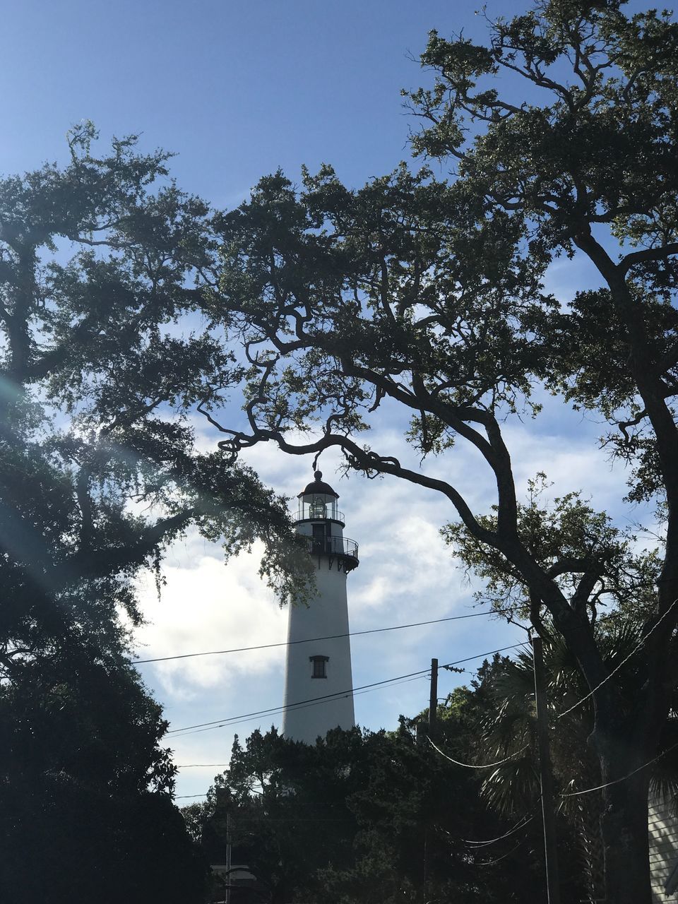 tree, lighthouse, low angle view, architecture, guidance, tower, day, built structure, building exterior, no people, sky, outdoors, nature