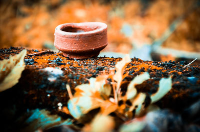 Close-up of rusty metal