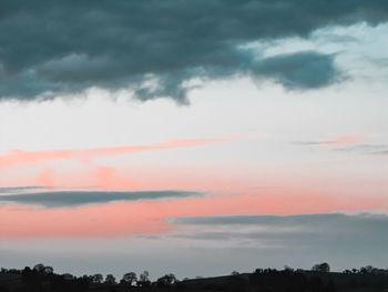 Low angle view of silhouette trees against sky during sunset