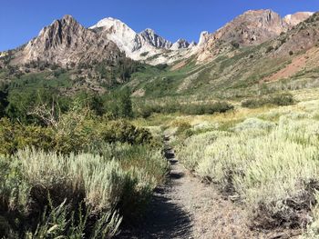 Trail on field leading towards rocky mountains