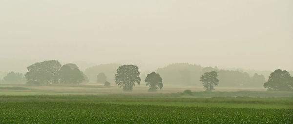 Scenic view of field against sky during foggy weather