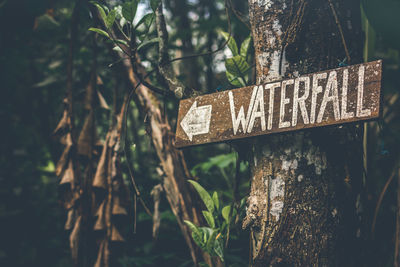 Road to the waterfall