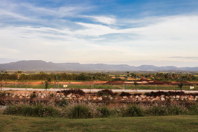 Scenic view of field against sky