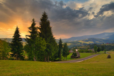 Scenic view of trees on field against sky at sunset