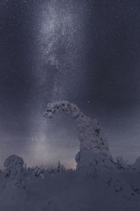 Scenic view of snowy trees against sky at night