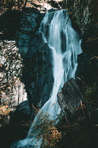Scenic view of waterfall in forest