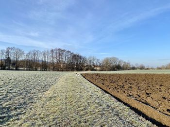 Road amidst field against sky