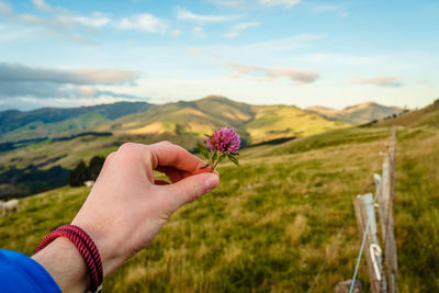 Cropped image of hand holding flower on landscape