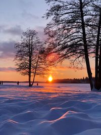 Bare trees on snow covered land against sky during sunset