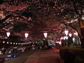 Crowd at night