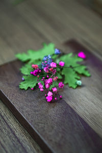 Close-up of pink flowering plant on table