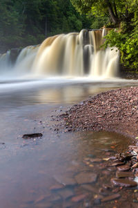 Scenic view of waterfall in forest