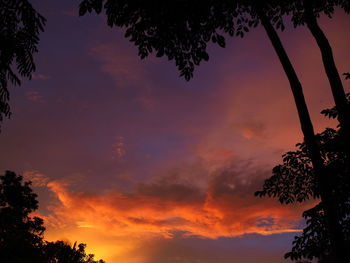 Low angle view of silhouette trees against orange sky