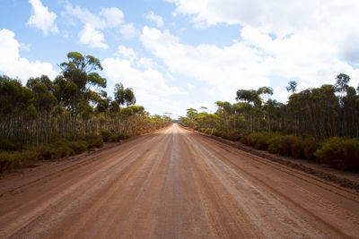 Road amidst trees against sky