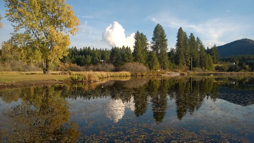 Scenic view of calm lake