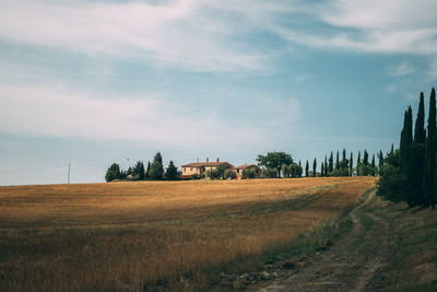 Scenic view of agricultural field against sky