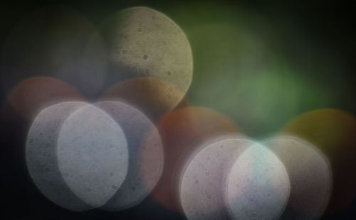Close-up of eggs on table
