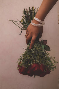 Close-up of hand holding plant against wall
