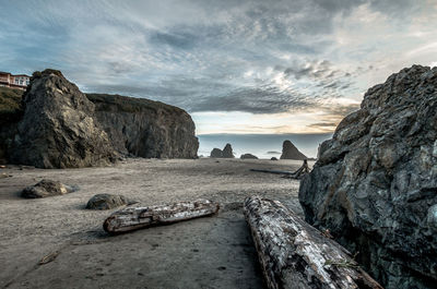 Scenic view of beach against sky with driftwood leading to horizon