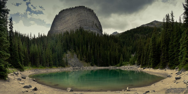 Panoramic shot of lake and trees against sky