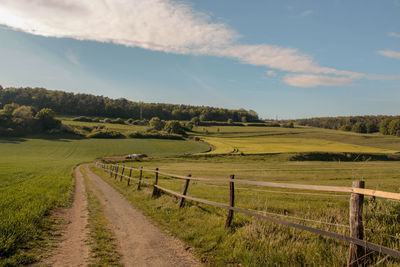 Scenic view of agricultural field against sky