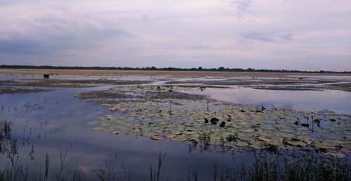 Scenic view of lake against sky