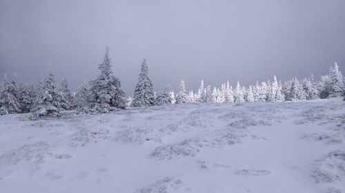 Scenic view of snow covered landscape