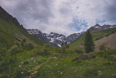 mountain