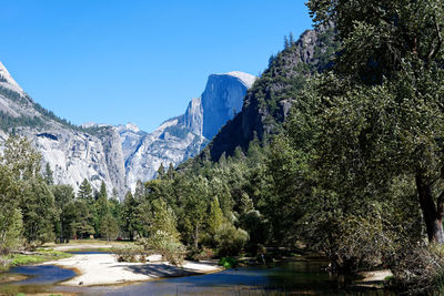 Panoramic view of trees and mountains against clear sky