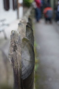 Close-up of frozen leaf during winter