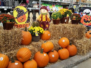 Pumpkins for sale at market stall