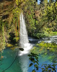 Waterfall in forest
