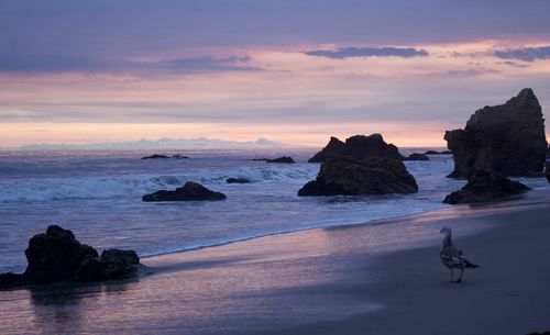 Rocks on sea against sky during sunset
