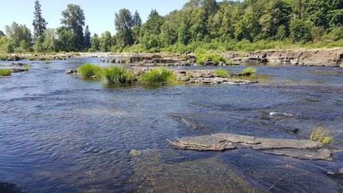 Scenic view of river flowing through rocks
