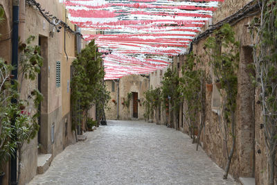 Narrow alley amidst buildings in town