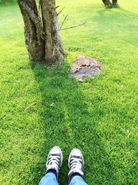 Low section of person standing on grassy field