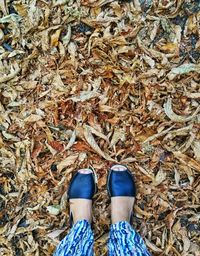 Low section of person standing on dry leaves