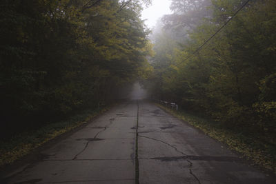 Empty road amidst trees in forest